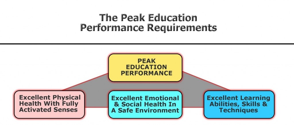 Peak Performance | Dr. Ng Meng Lek